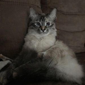 Meet your Posher, Brittany